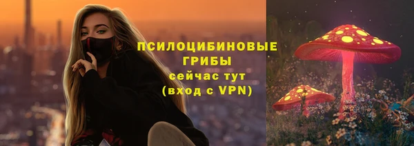 дживик Абаза