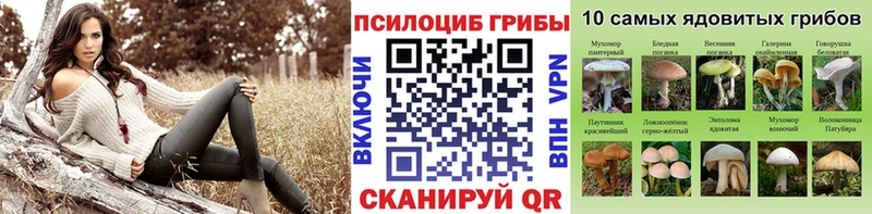 Псилоцибиновые грибы прущие грибы  Нефтегорск 
