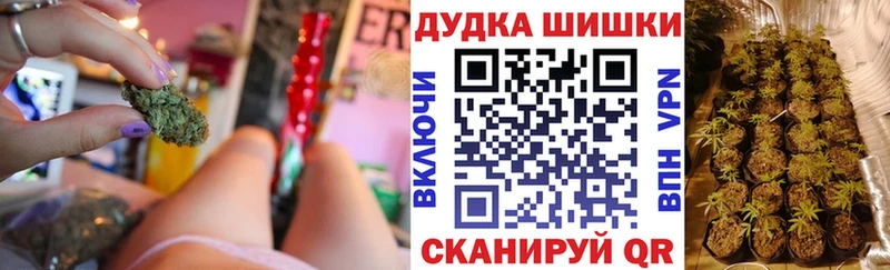 закладка  Нефтегорск  Бошки марихуана сатива 
